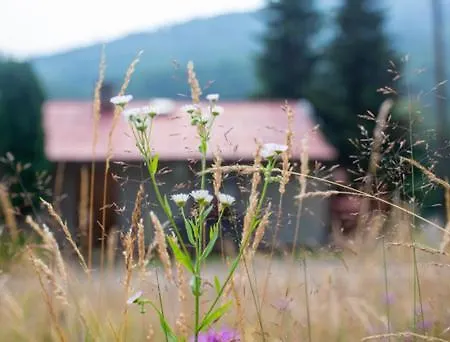 Bungalovy U Haliny - Tyra Natura Holiday home *