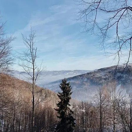 Bungalovy U Haliny - Tyra Natura *