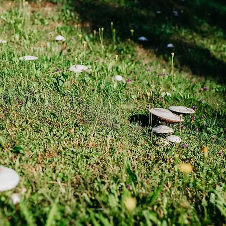 別荘 Bungalovy U Haliny - Tyra Natura トゥジネッツ