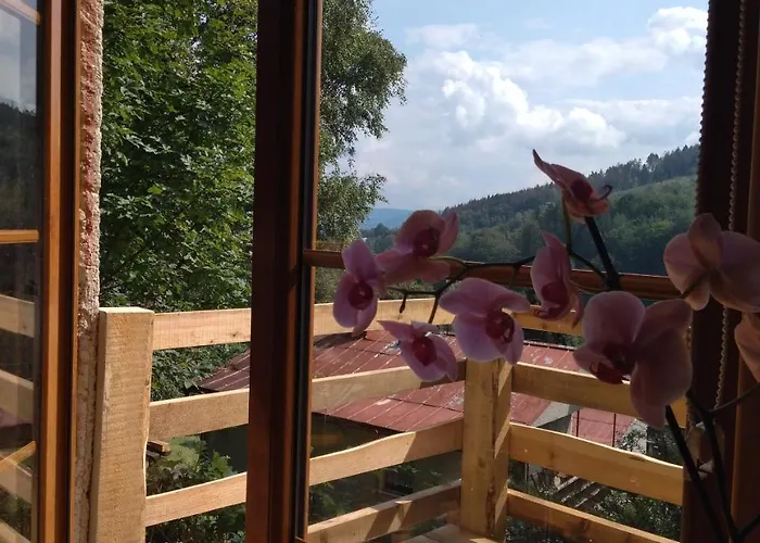 Bungalovy U Haliny - Tyra Natura *