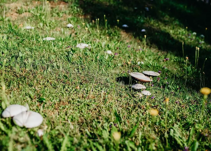 Nyaraló Bungalovy U Haliny - Tyra Natura Třinec